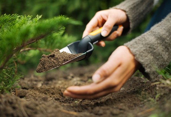 Des outils pratiques pour planter.