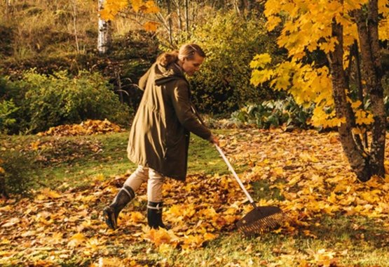 Retrouvez la joie du jardinage automnal