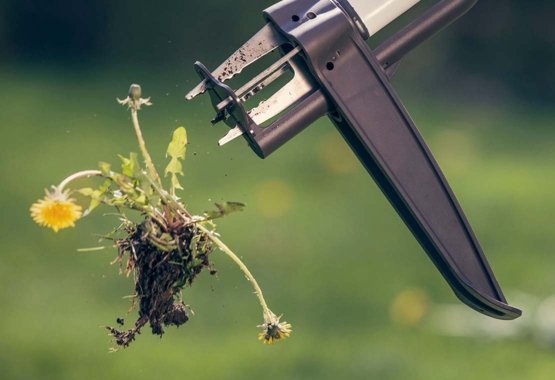 Enlever les mauvaises herbes mécaniquement